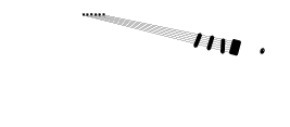 Sharkslap